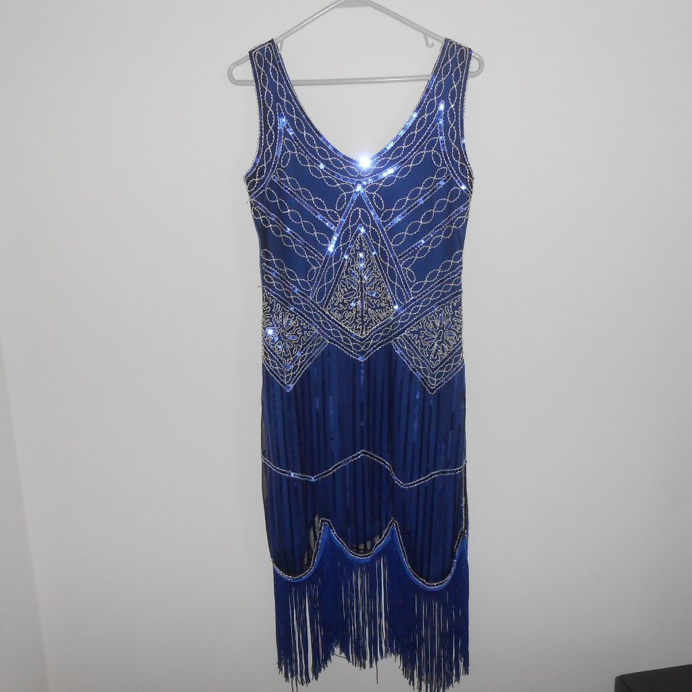 NWOT 1920s Flapper Fringe Dress W/4 Piece Accessories